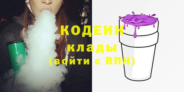 хмурый Мегион
