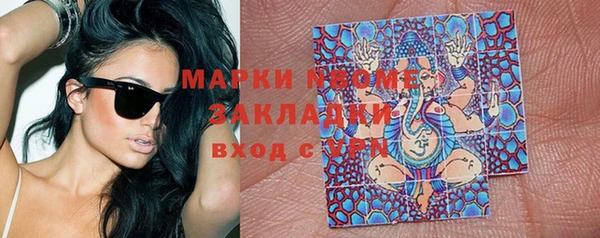 хмурый Мегион