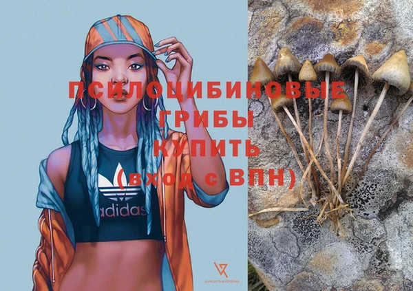 марки nbome Медногорск