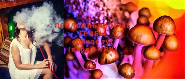 мет Медвежьегорск