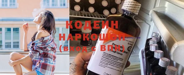 хмурый Мегион