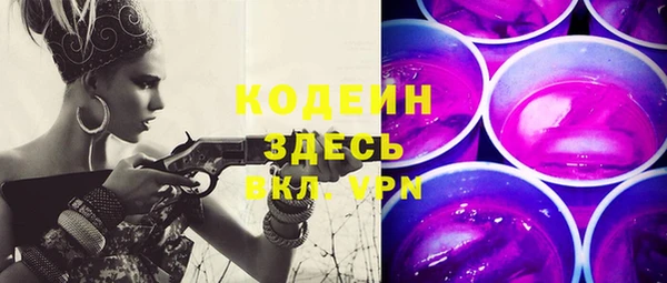 хмурый Мегион