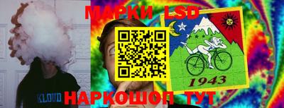 ПСИЛОЦИБИНОВЫЕ ГРИБЫ Будённовск