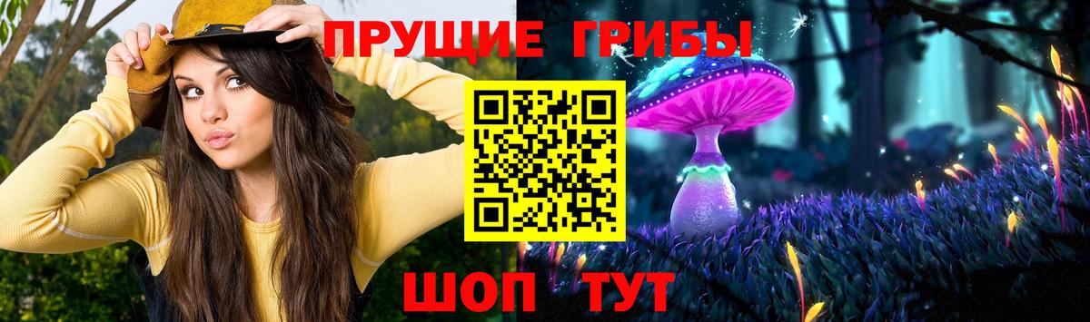 Гагарин  Галлюциногенные грибы Magic Shrooms  Вход с VPN  Галлюциногенные грибы Magic Shrooms 